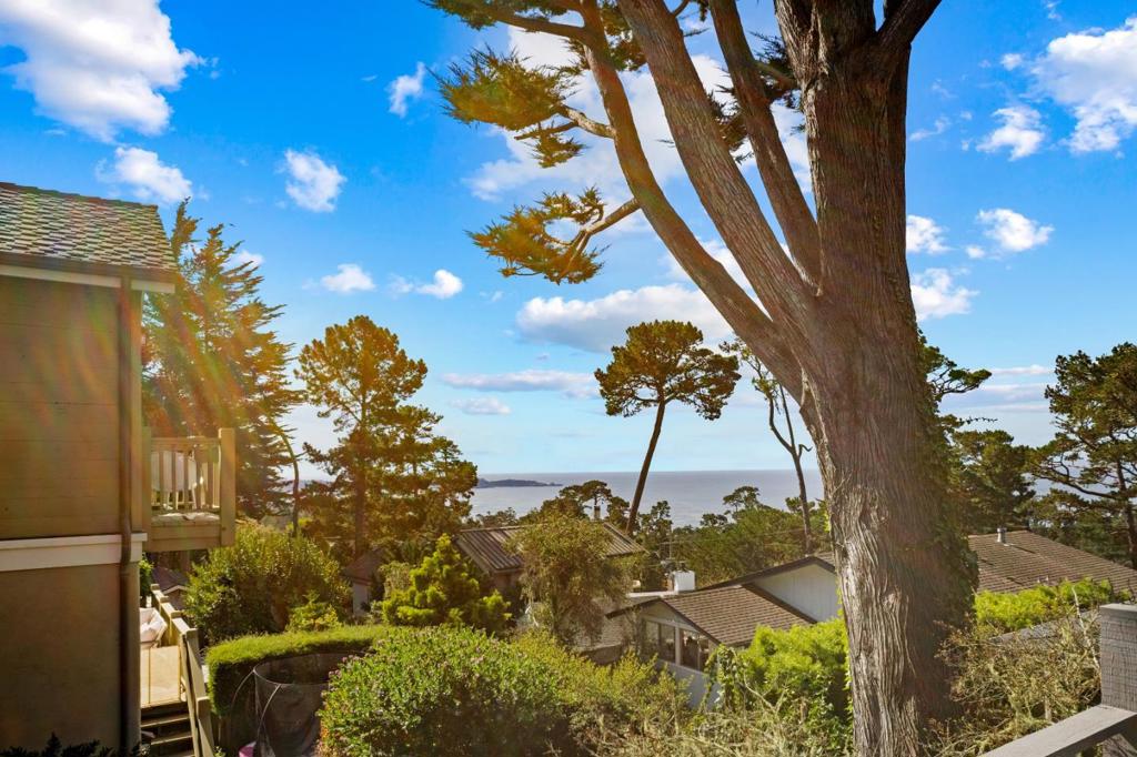 24732 San Carlos Street Property Photo 13