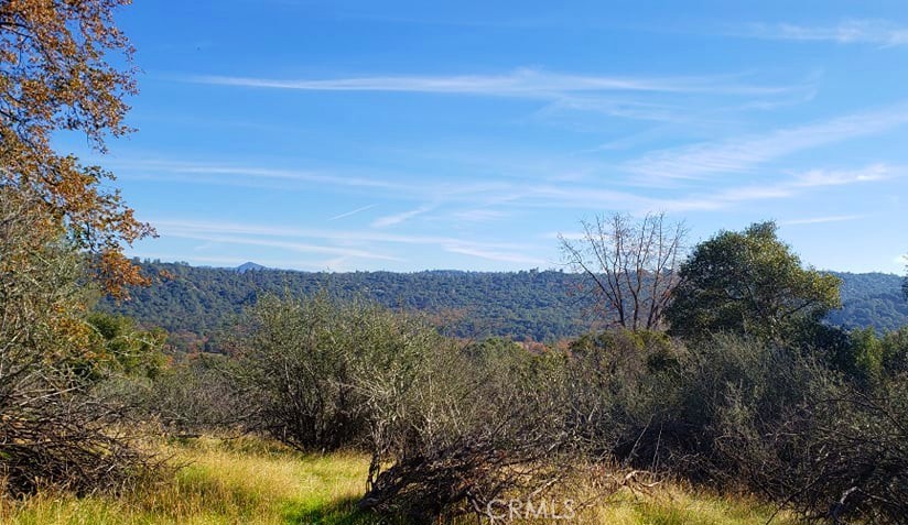 0 Unassigned Boyer Road Property Photo 1