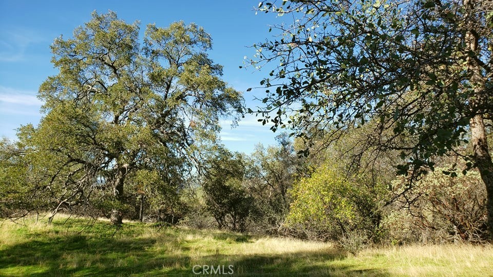 0 Unassigned Boyer Road Property Photo 2