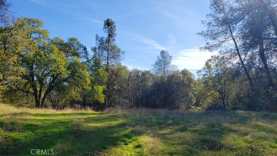 0 Unassigned Boyer Road Property Photo 4