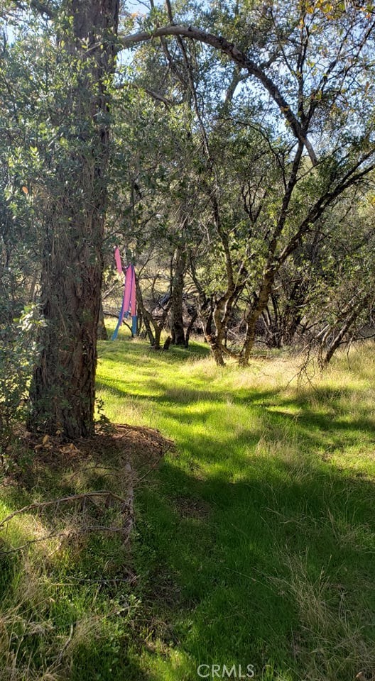 0 Unassigned Boyer Road Property Photo 8