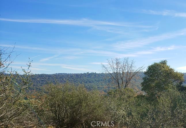 0 Unassigned Boyer Road Property Photo 14