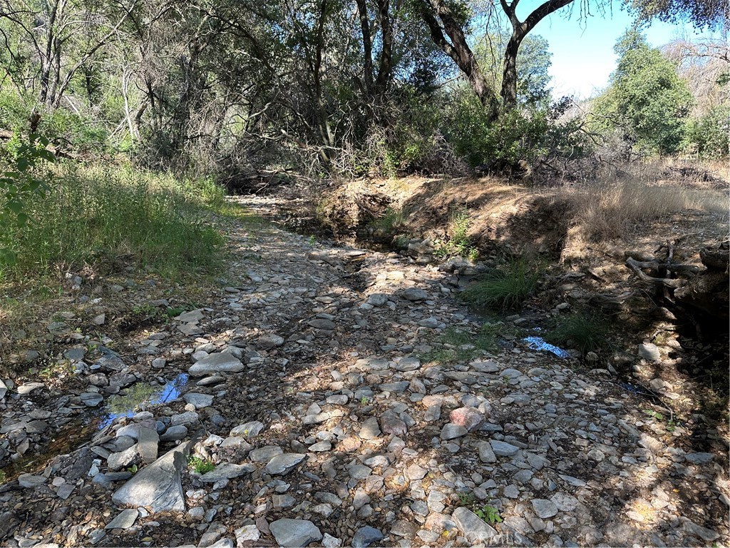 665 Acs. - Mt Bullion Cut-off Road Property Photo 3