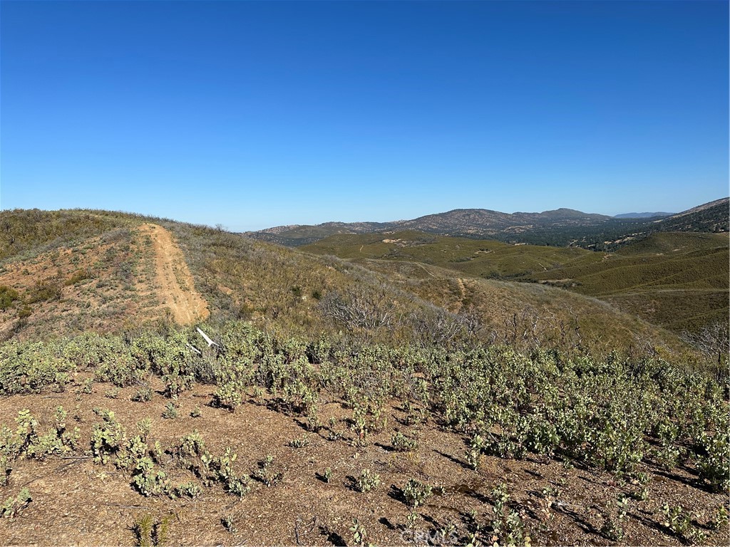 665 Acs. - Mt Bullion Cut-off Road Property Photo 6