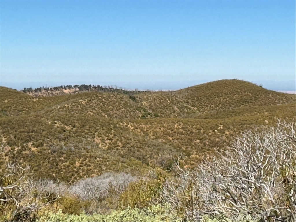 665 Acs. - Mt Bullion Cut-off Road Property Photo 8