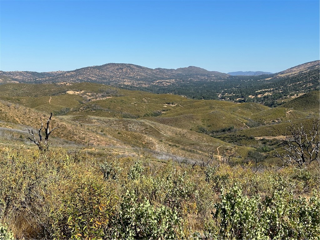 665 Acs. - Mt Bullion Cut-off Road Property Photo 10