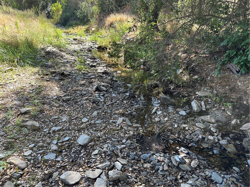 665 Acs. - Mt Bullion Cut-off Road Property Photo 11