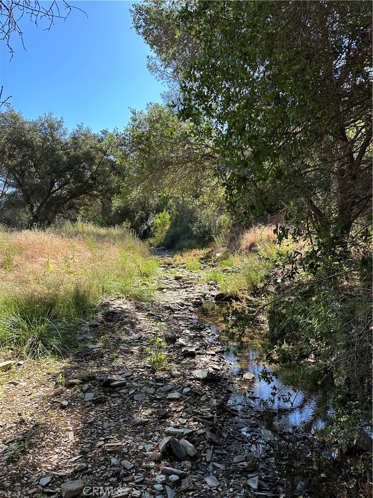 665 Acs. - Mt Bullion Cut-off Road Property Photo 12