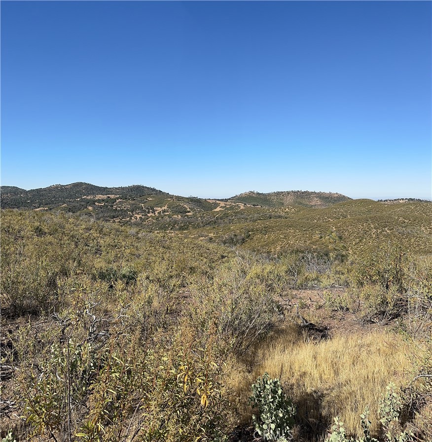 665 Acs. - Mt Bullion Cut-off Road Property Photo 13