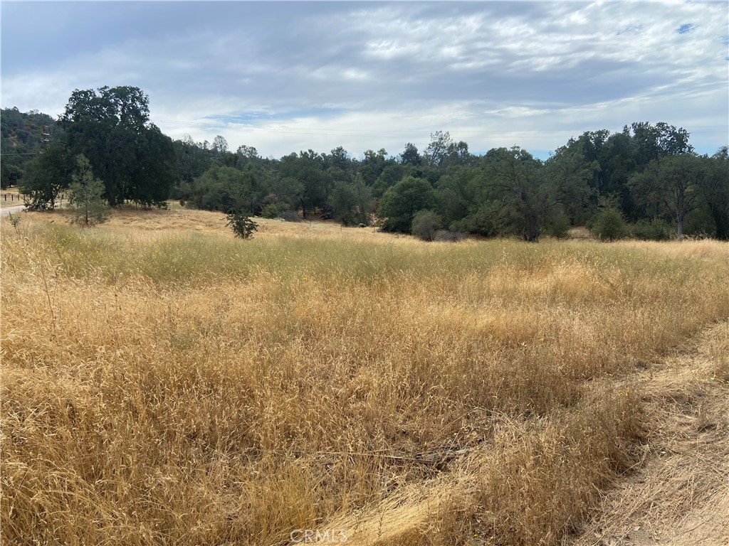 0 Hogans Mountain Rd Property Photo 2