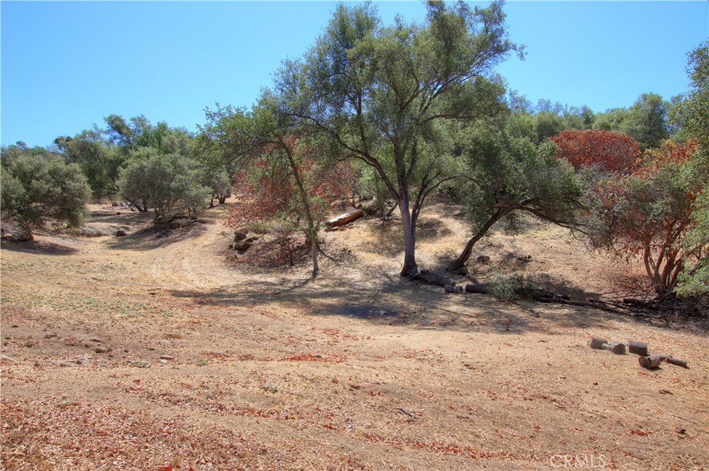 32183 Highway 41 Property Photo 38