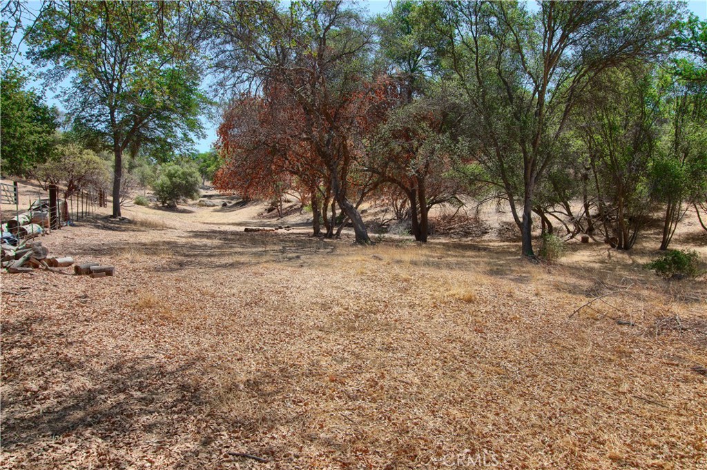 32183 Highway 41 Property Photo 40
