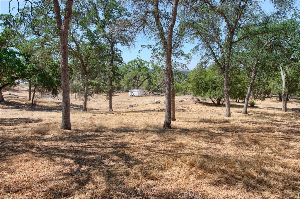 32183 Highway 41 Property Photo 41