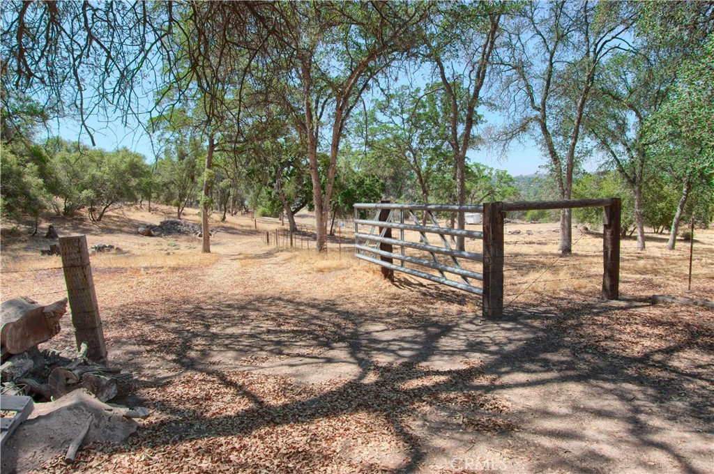 32183 Highway 41 Property Photo 42