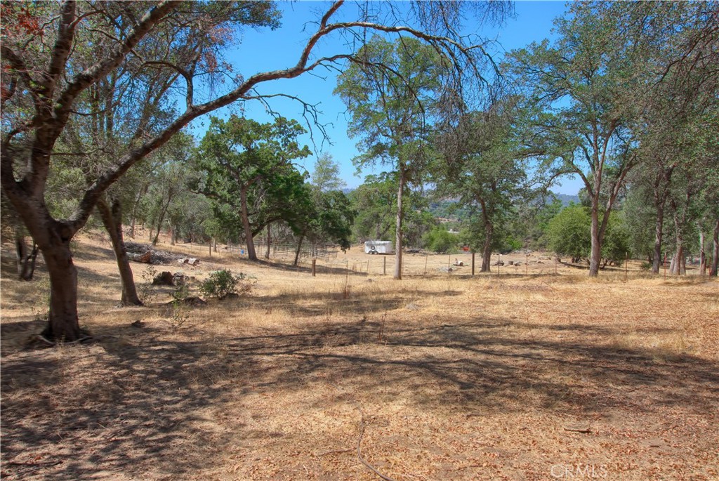 32183 Highway 41 Property Photo 44