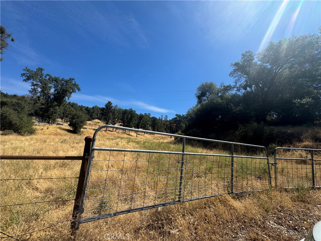 5348 State Highway 49 N Property Photo 3