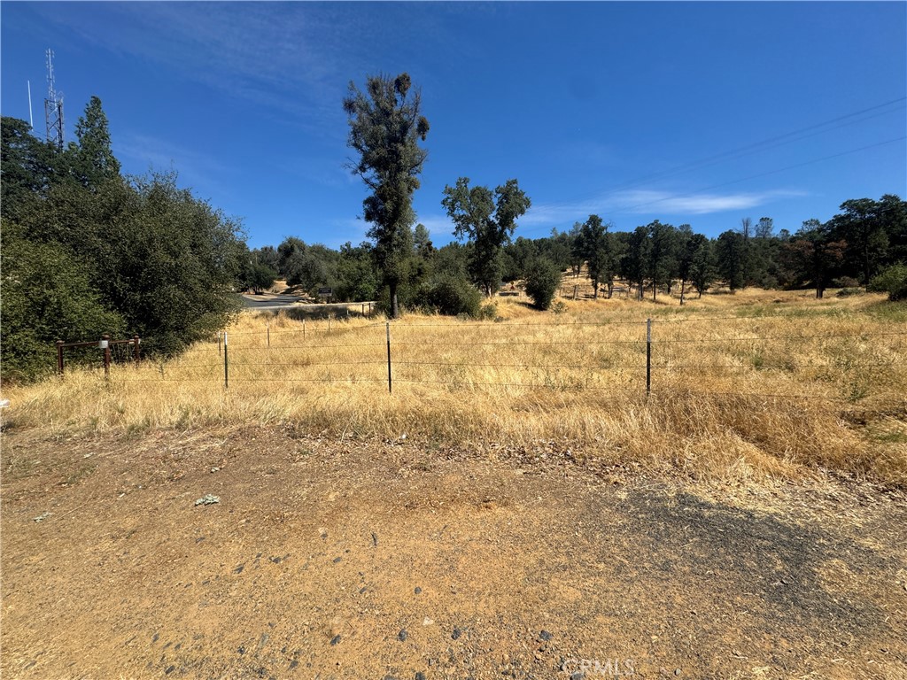 5348 State Highway 49 N Property Photo 8