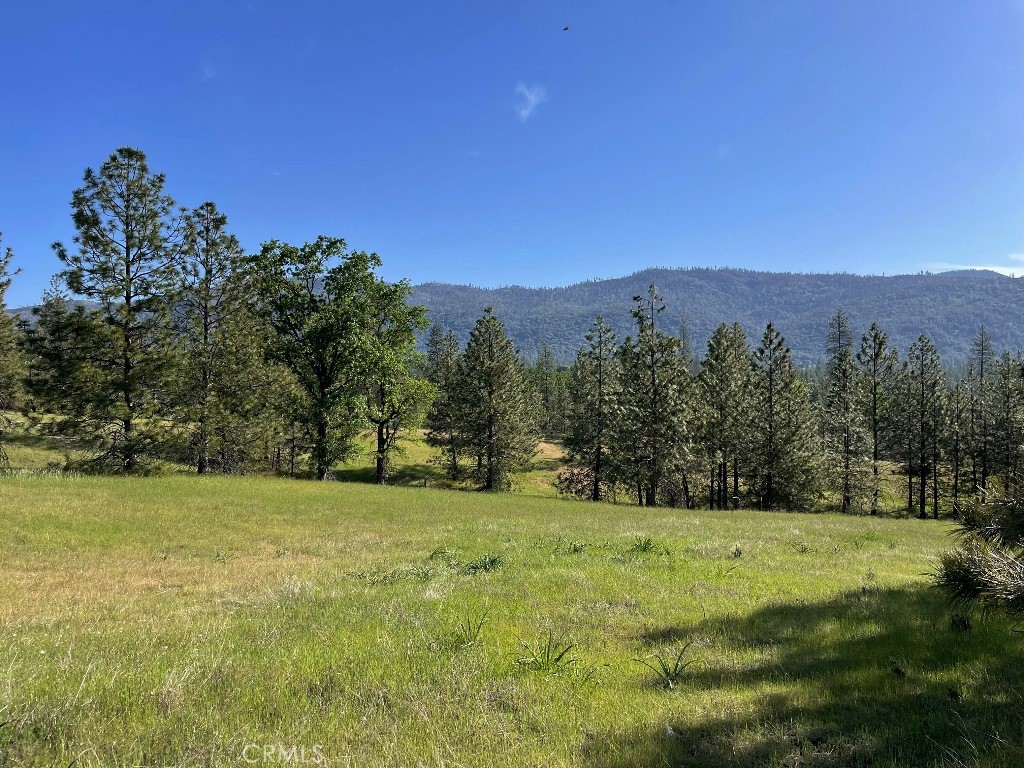 0 Triangle Road Property Photo
