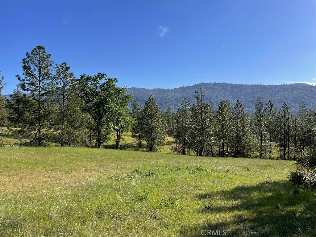 0 Triangle Road Property Photo 1