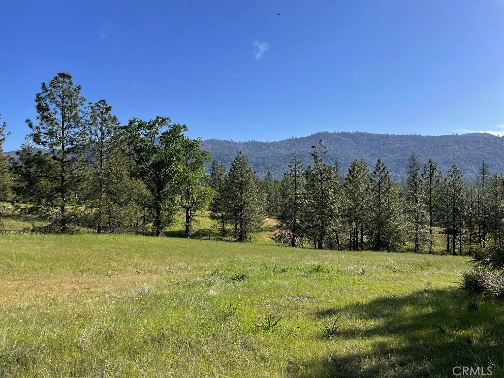 0 Triangle Road Property Photo 1