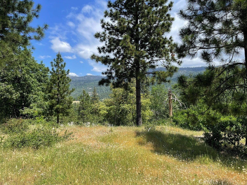 0 Triangle Road Property Photo 2
