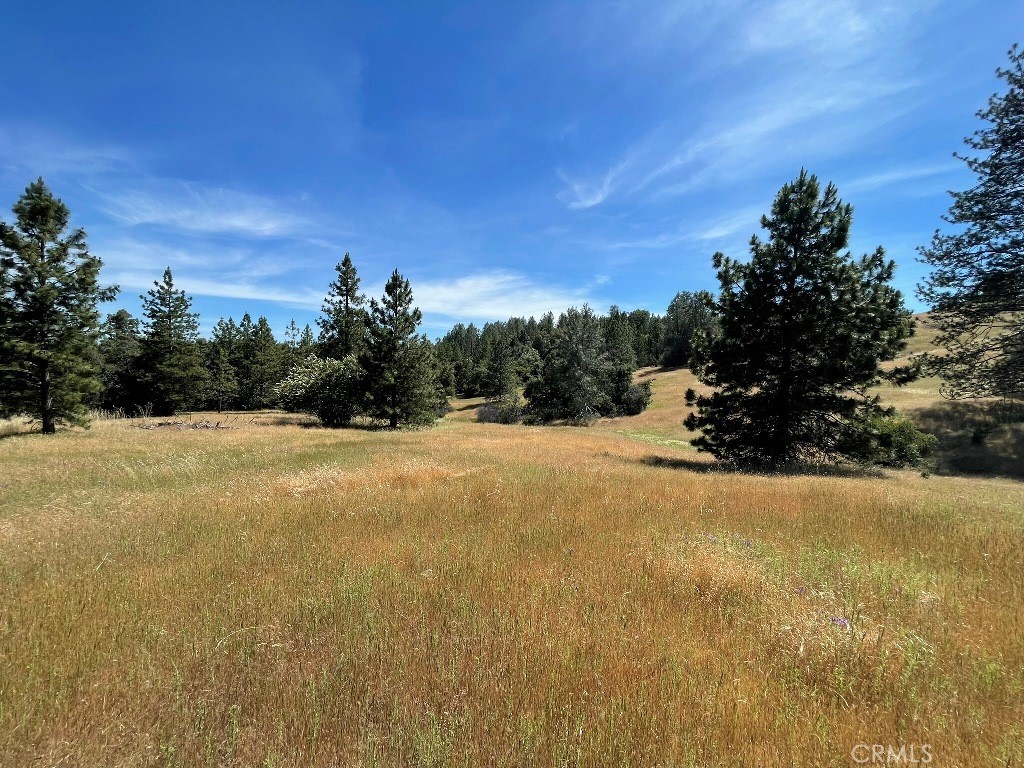 0 Triangle Road Property Photo 3