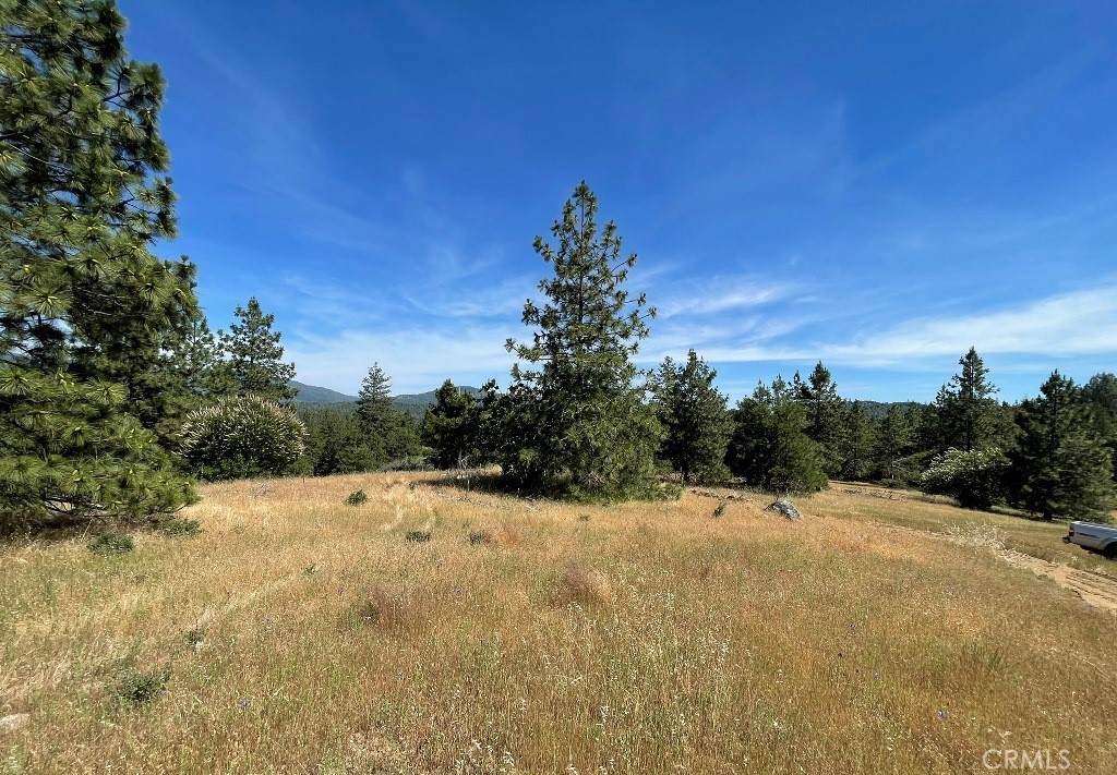 0 Triangle Road Property Photo 4