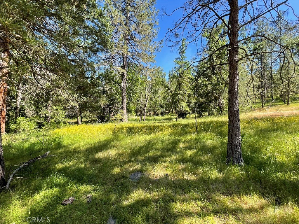 0 Triangle Road Property Photo 7