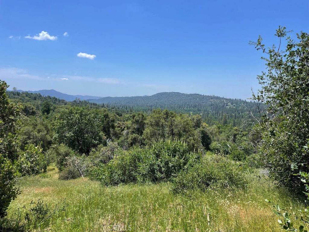 0 Triangle Road Property Photo 8