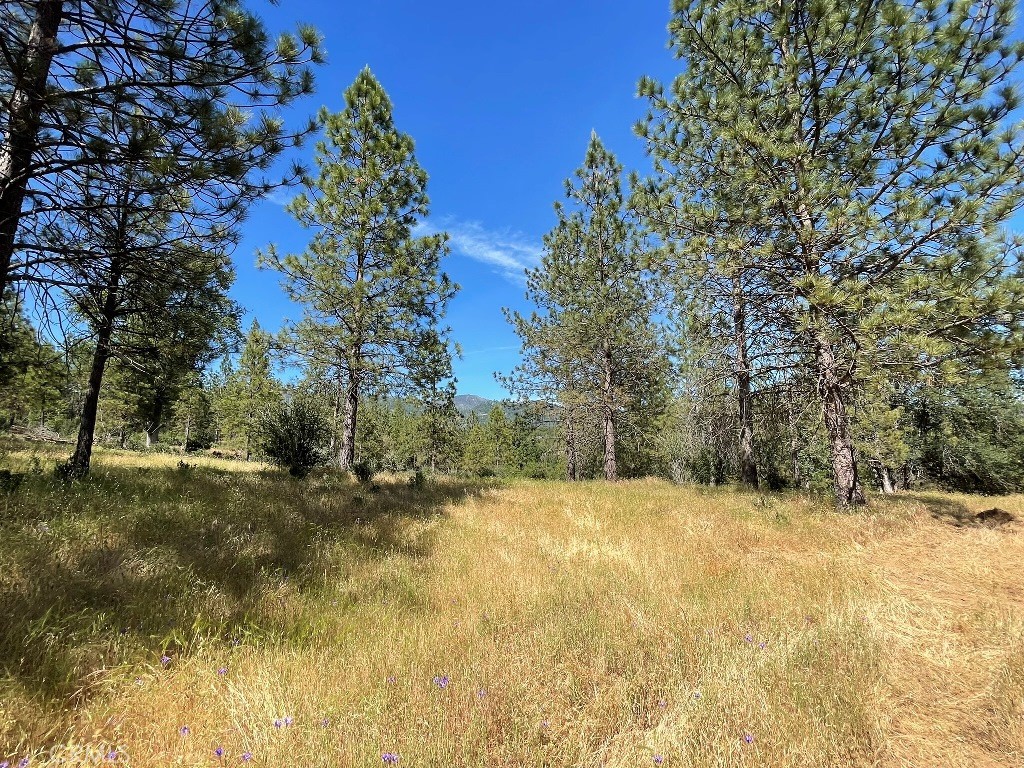 0 Triangle Road Property Photo 10