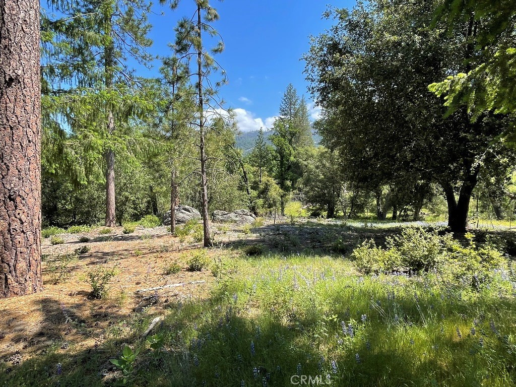 0 Triangle Road Property Photo 13
