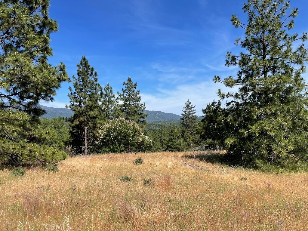 0 Triangle Road Property Photo 15