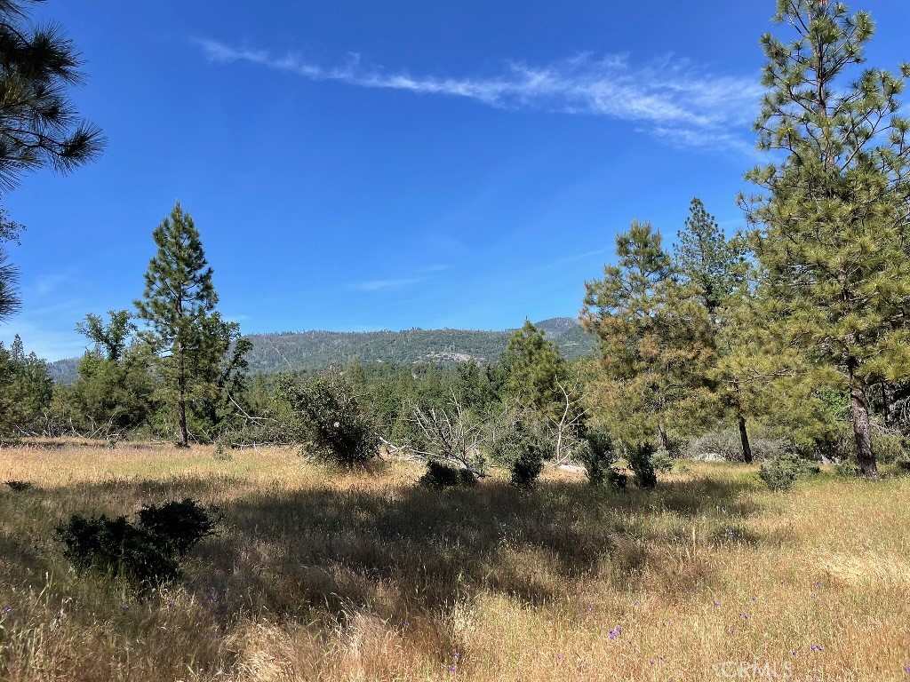 0 Triangle Road Property Photo 16