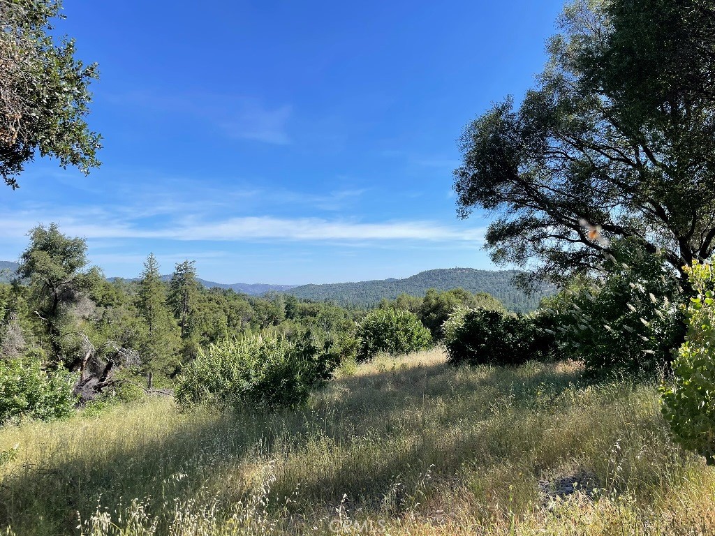 0 Triangle Road Property Photo 17
