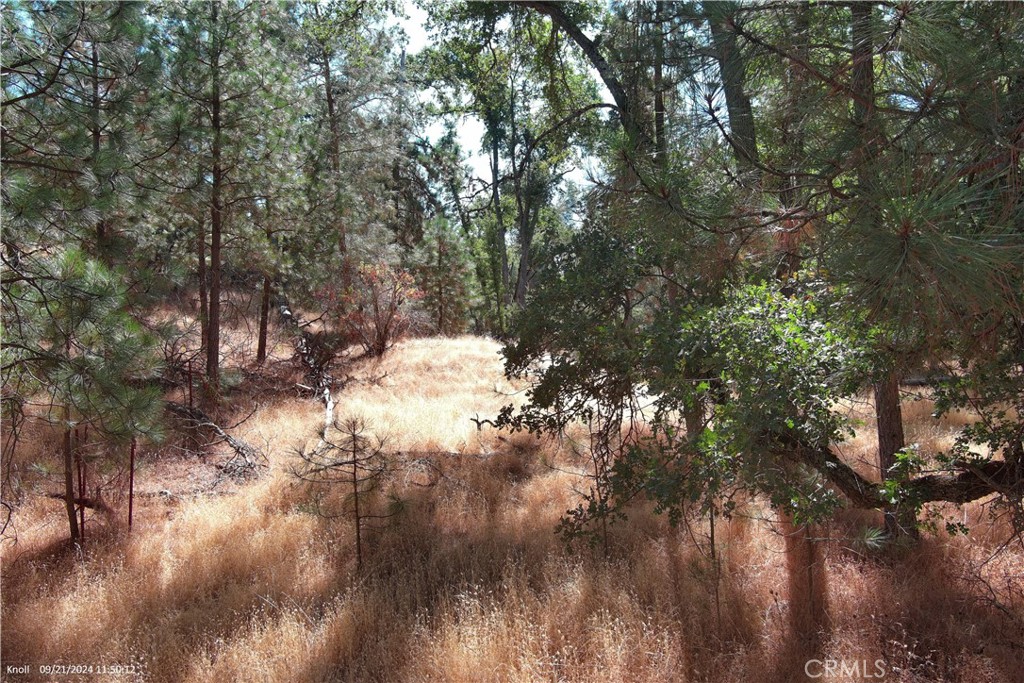 5718 E Whitlock Road Property Photo 6