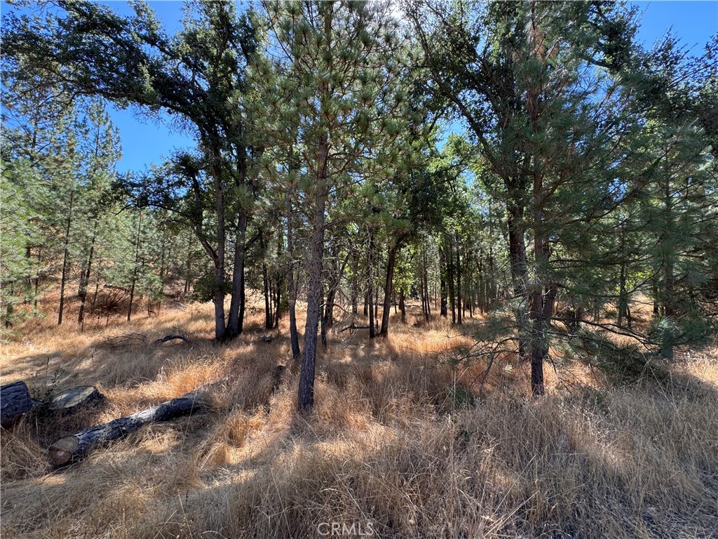 5718 E Whitlock Road Property Photo 13