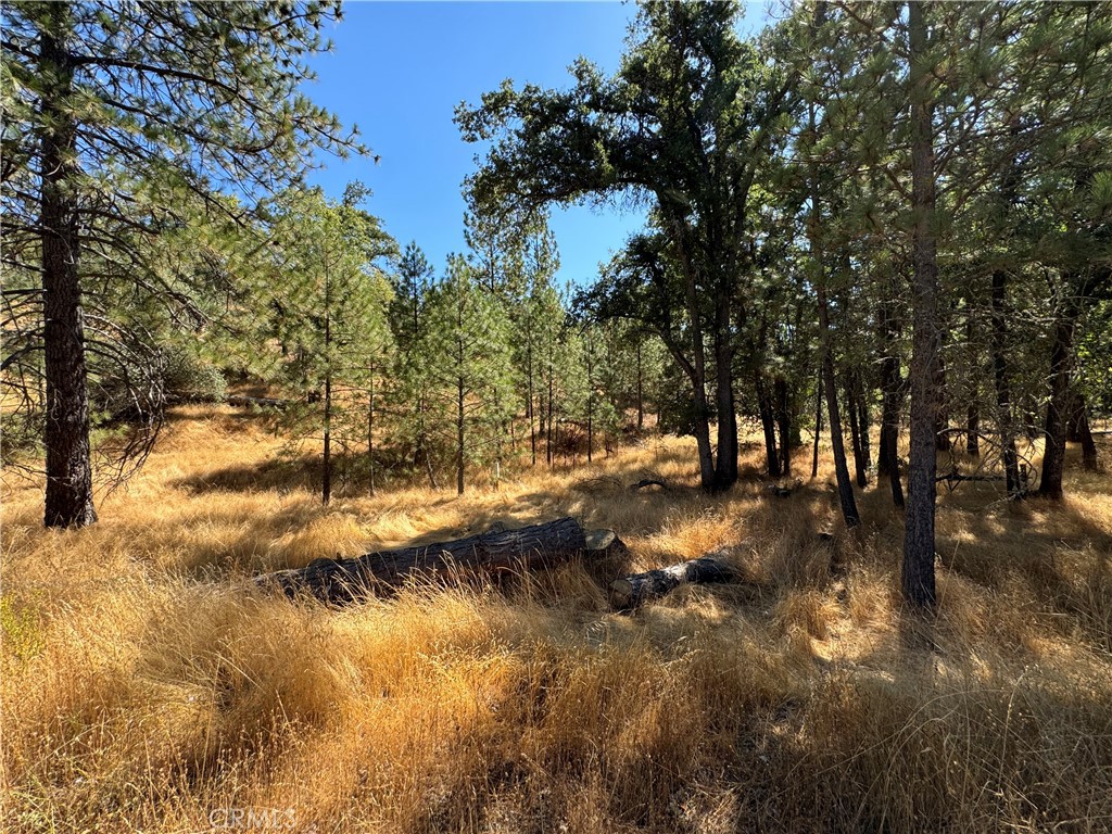 5718 E Whitlock Road Property Photo 14
