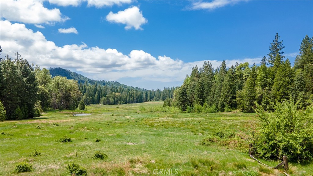 5657 Worman Road Property Photo 36