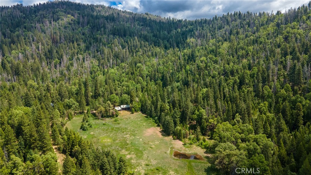 5657 Worman Road Property Photo 7