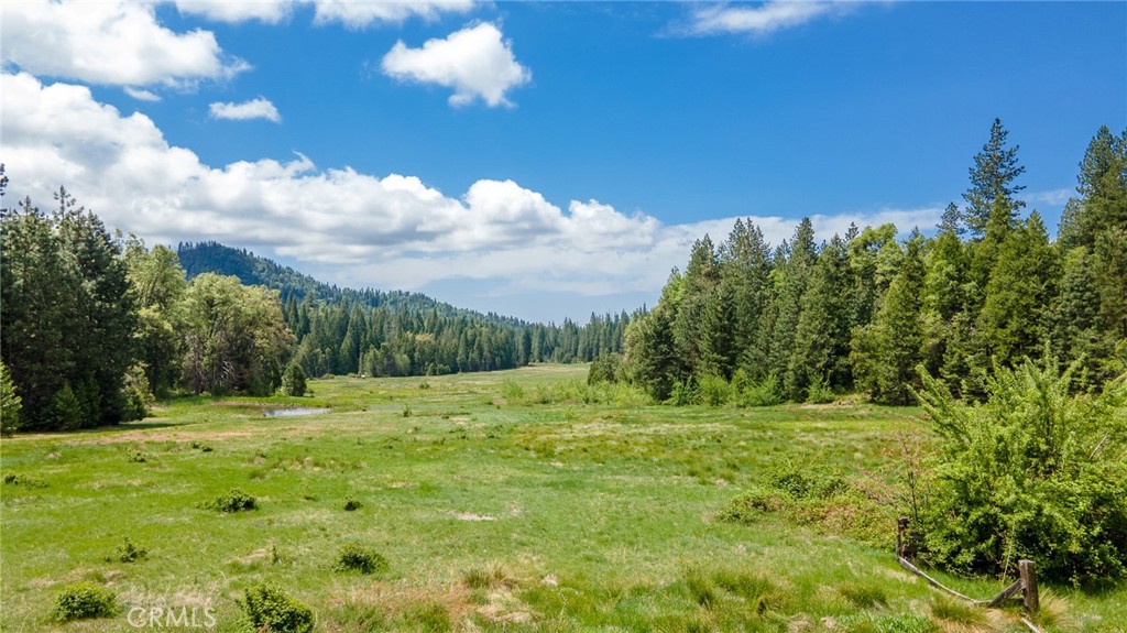 5657 Worman Road Property Photo 16