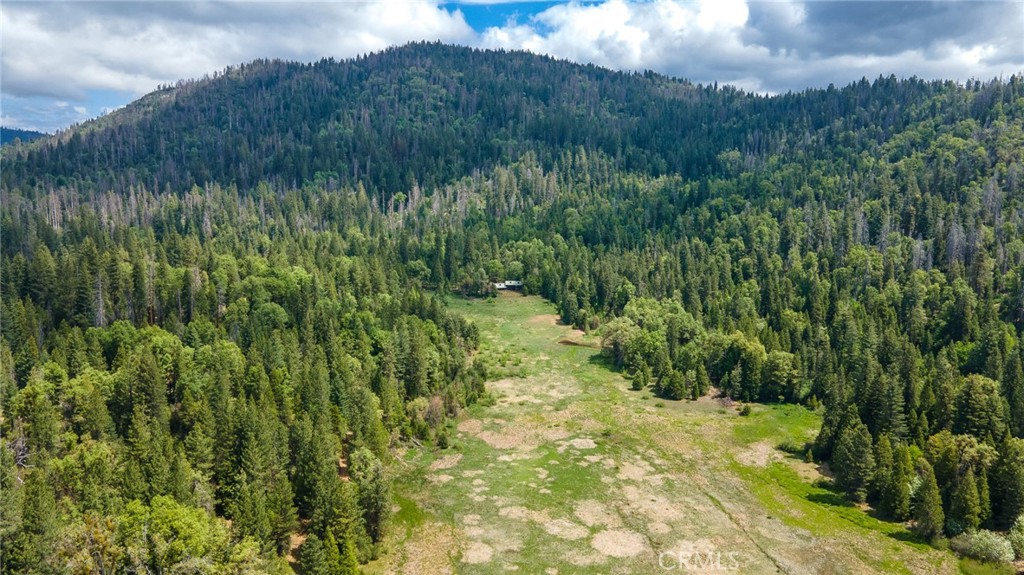 5657 Worman Road Property Photo 17