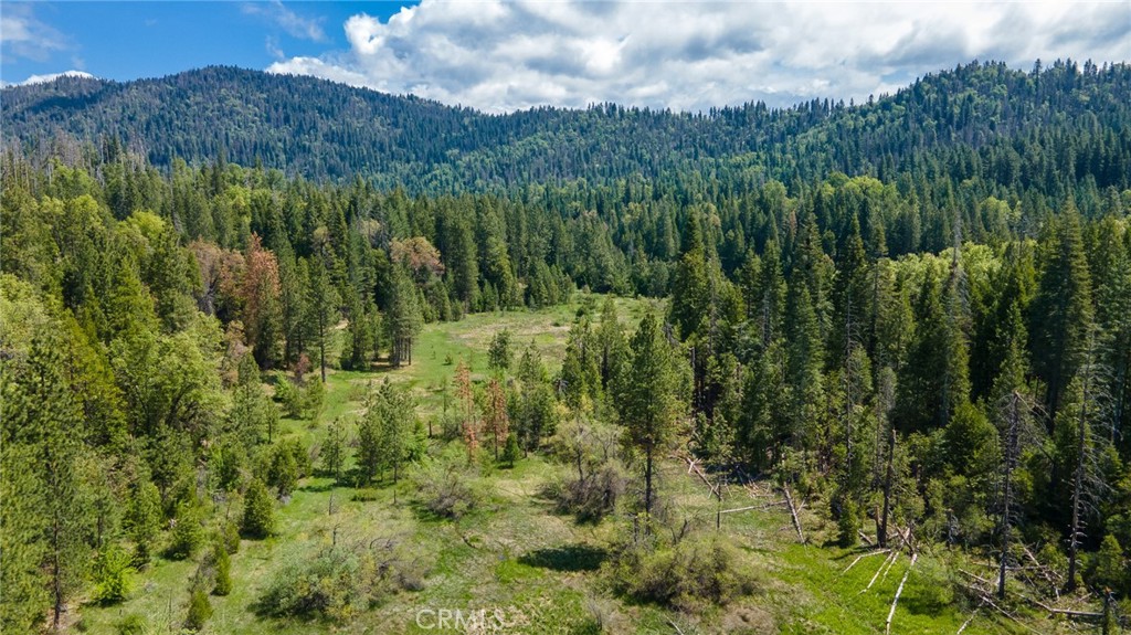 5657 Worman Road Property Photo 23