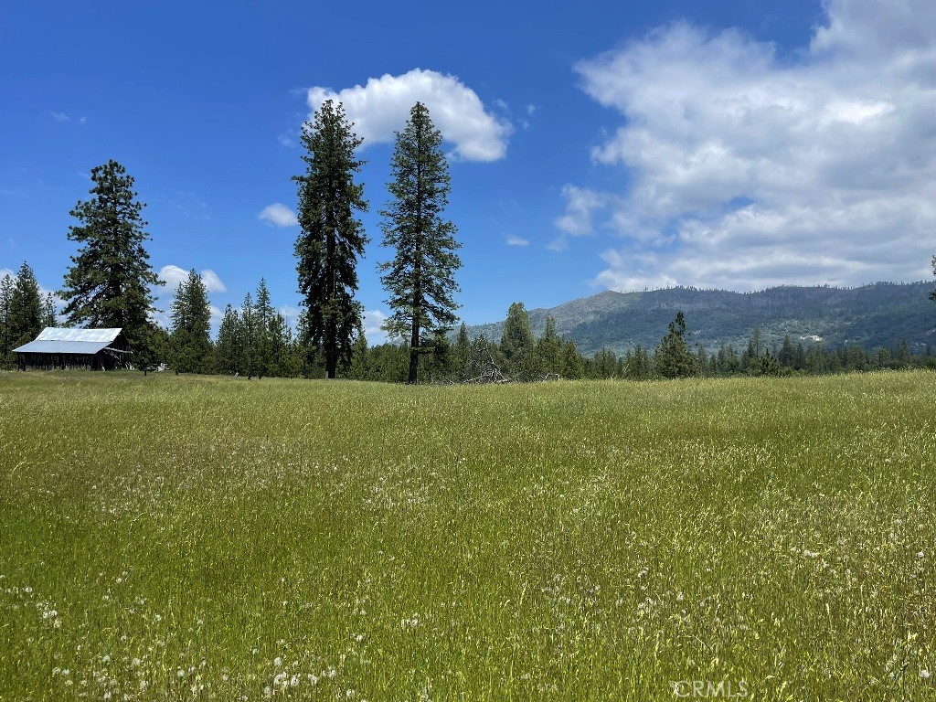 2964 Triangle Road Property Photo