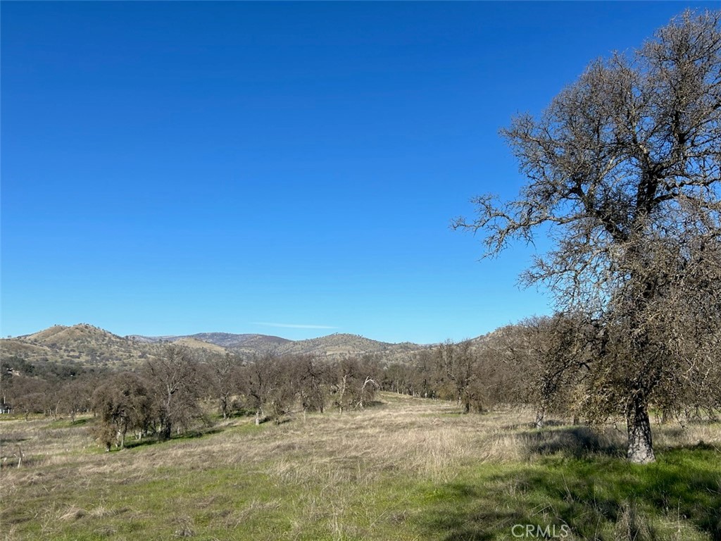 5 Acres - El Toro Road Property Photo