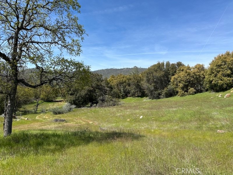 0 Highway 49 N Property Photo