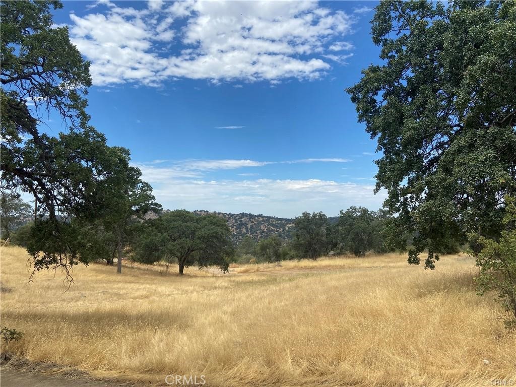 0 Hogans Mountain Rd Property Photo