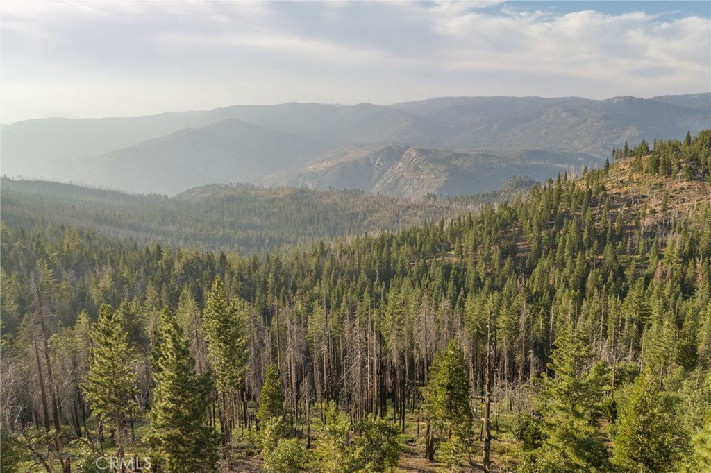 7373 Henness Ridge Road Property Photo