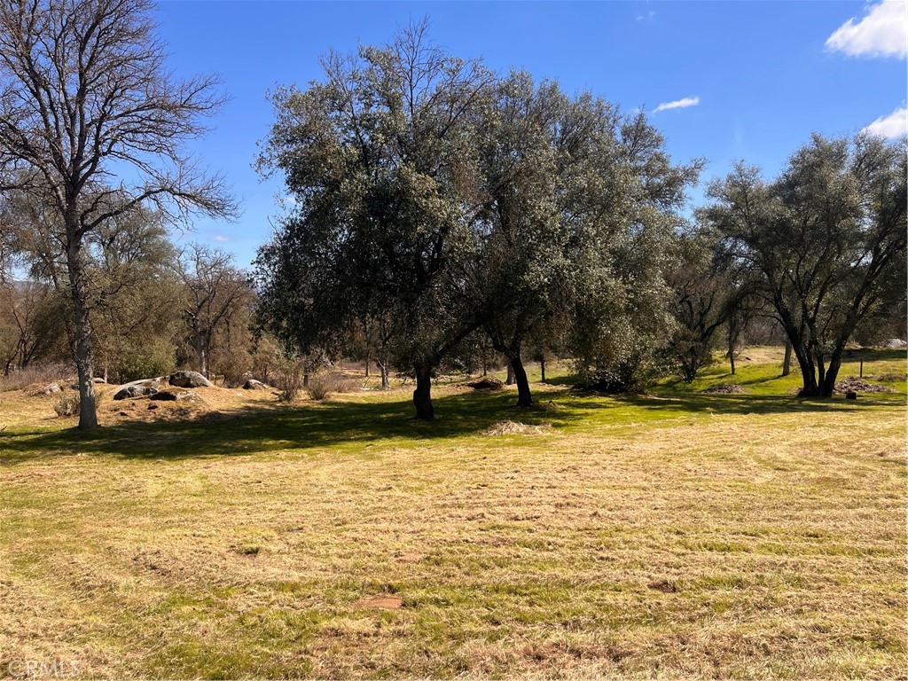 4036 Dawn Road Property Photo