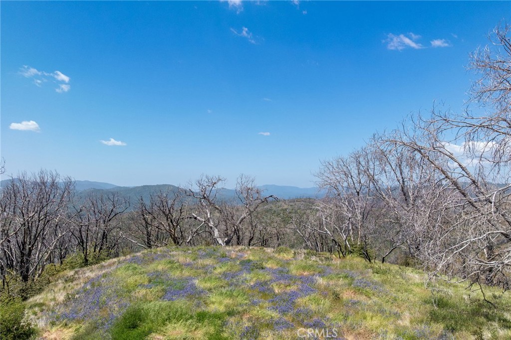 39 Acres Buckingham Mountain Road Property Photo