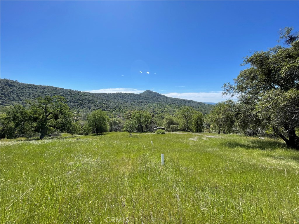 3116 River Haven Drive Property Photo